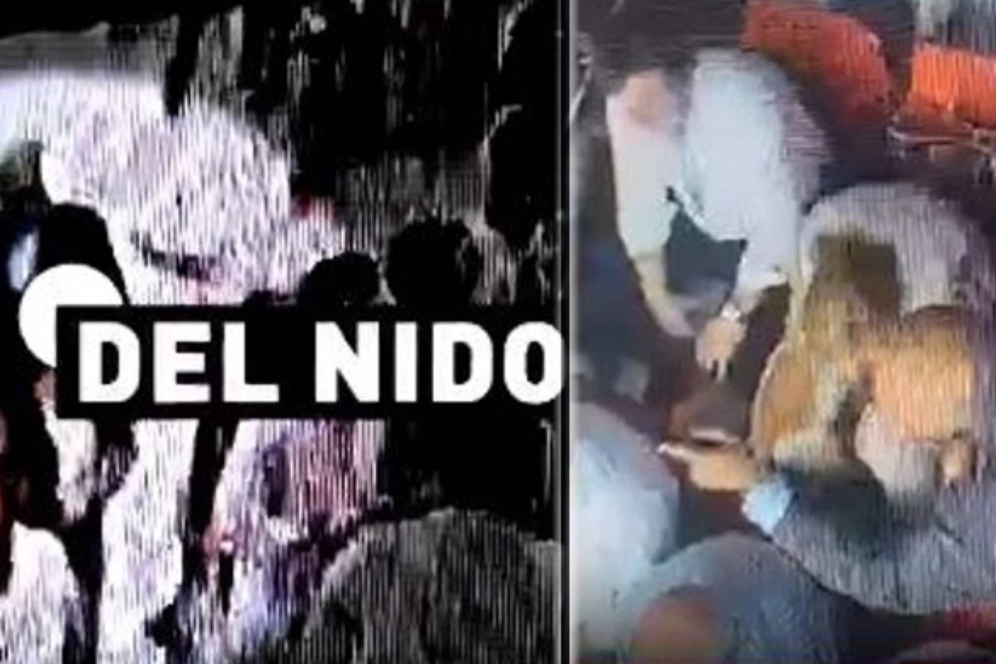 信翻盘的可 信翻盘的可