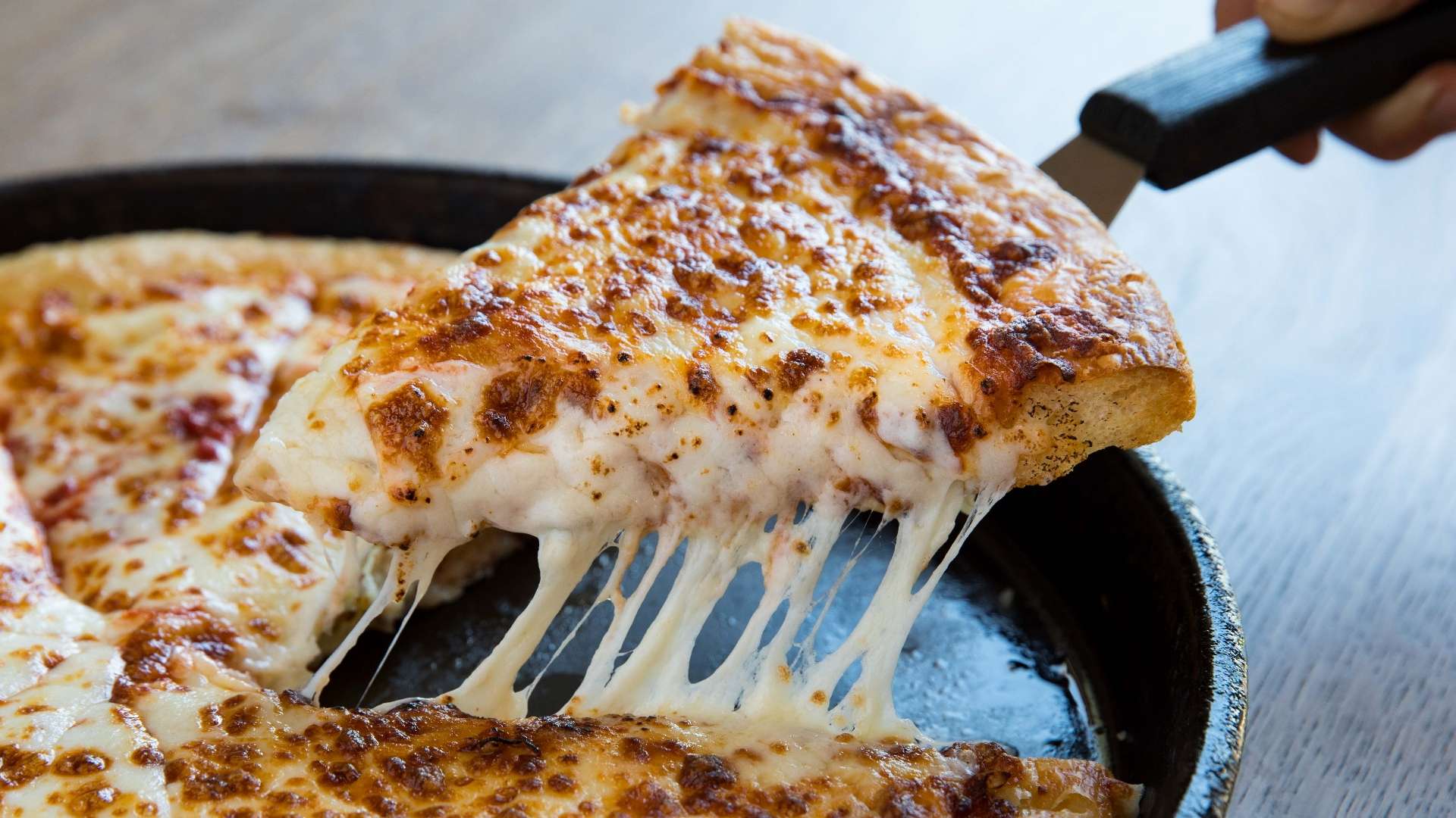 正的终结者 正的终结者